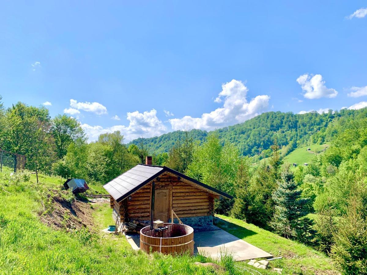 Hotel Conacul Drahneilor Ruscova Esterno foto