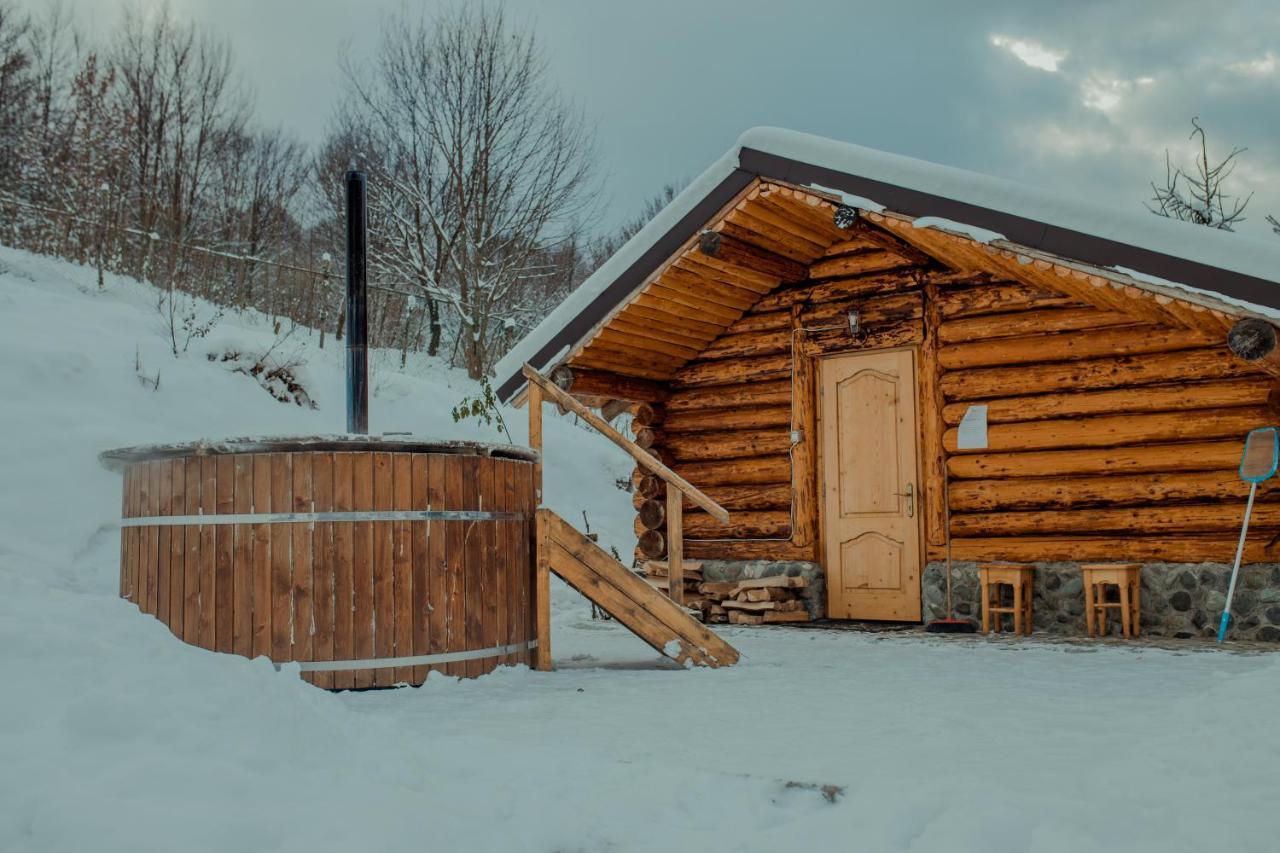 Hotel Conacul Drahneilor Ruscova Esterno foto