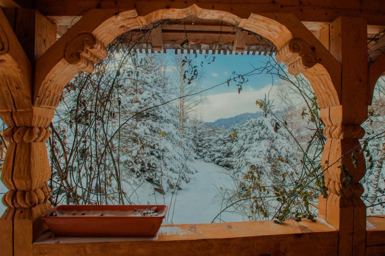 Hotel Conacul Drahneilor Ruscova Esterno foto