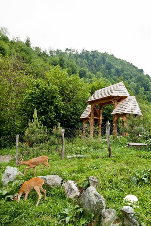 Hotel Conacul Drahneilor Ruscova Esterno foto